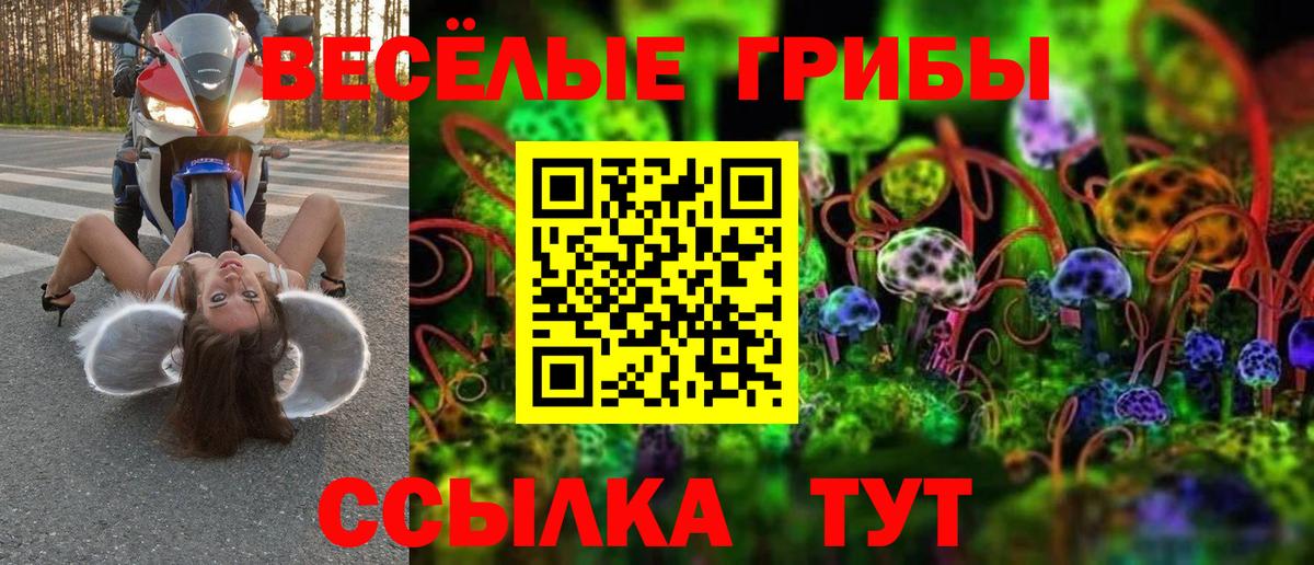 Псилоцибиновые грибы Cubensis Юрга