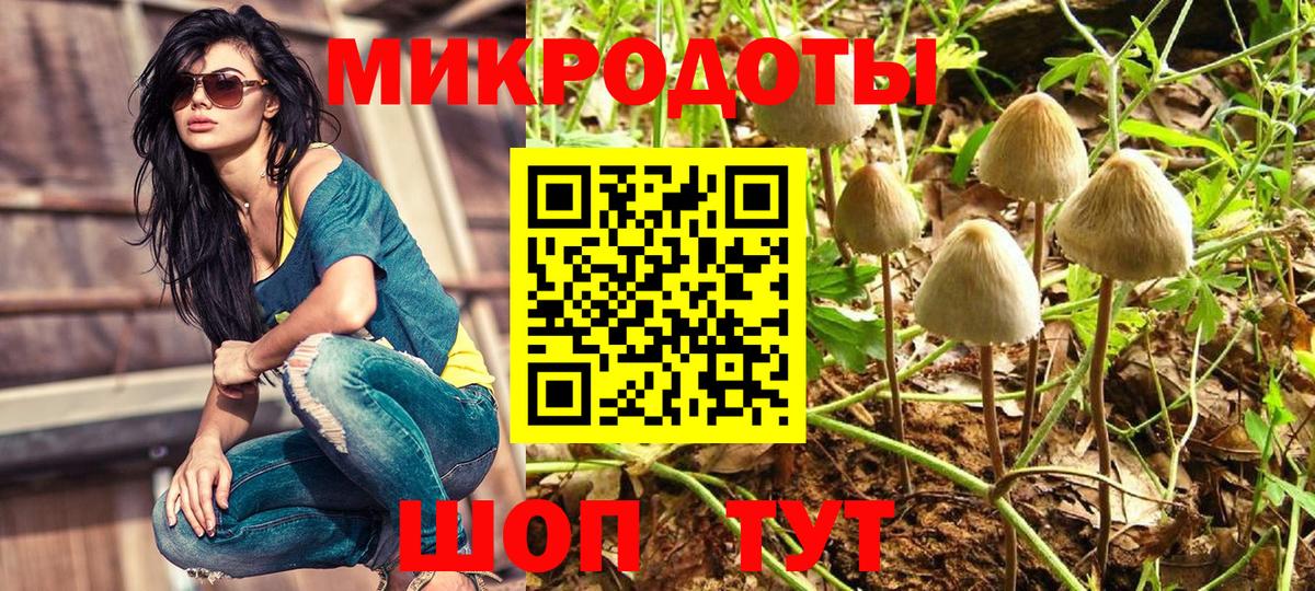 Юрга  Галлюциногенные грибы Cubensis  Вход с VPN 